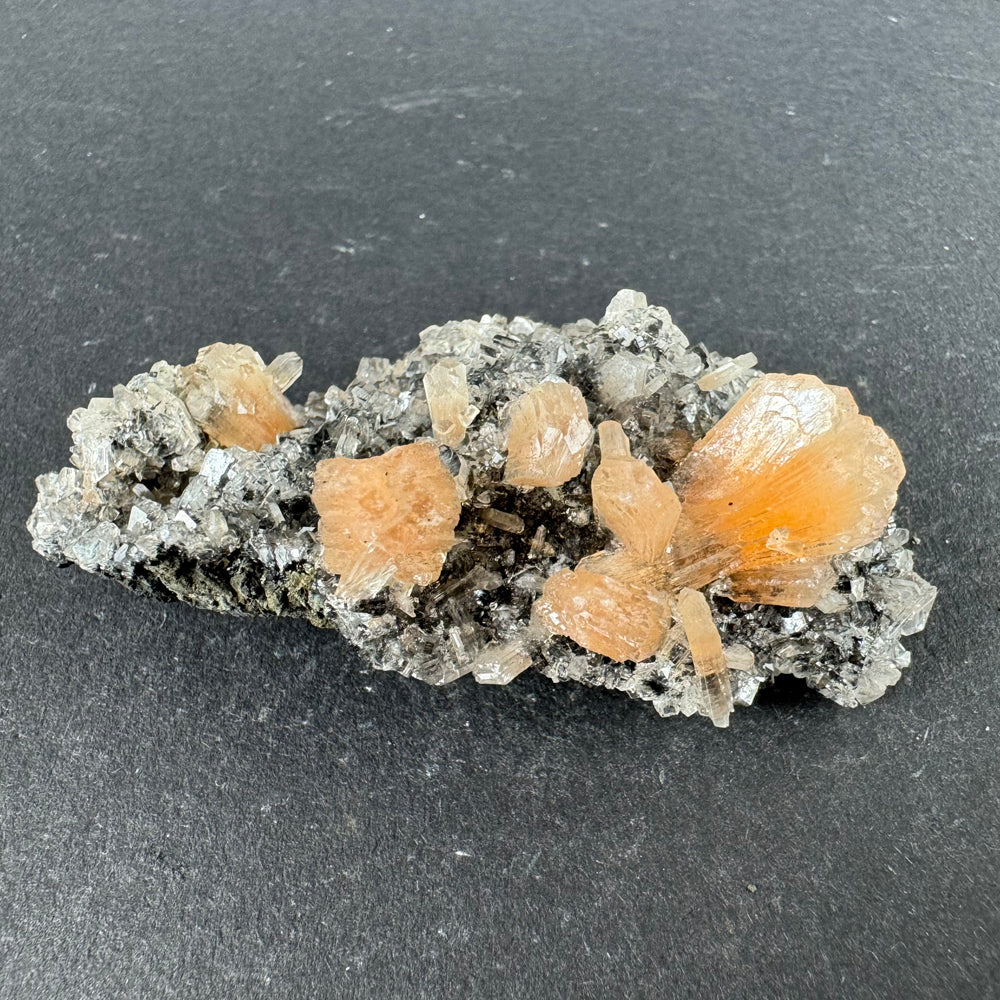 Black Chalcedony with Stilbite