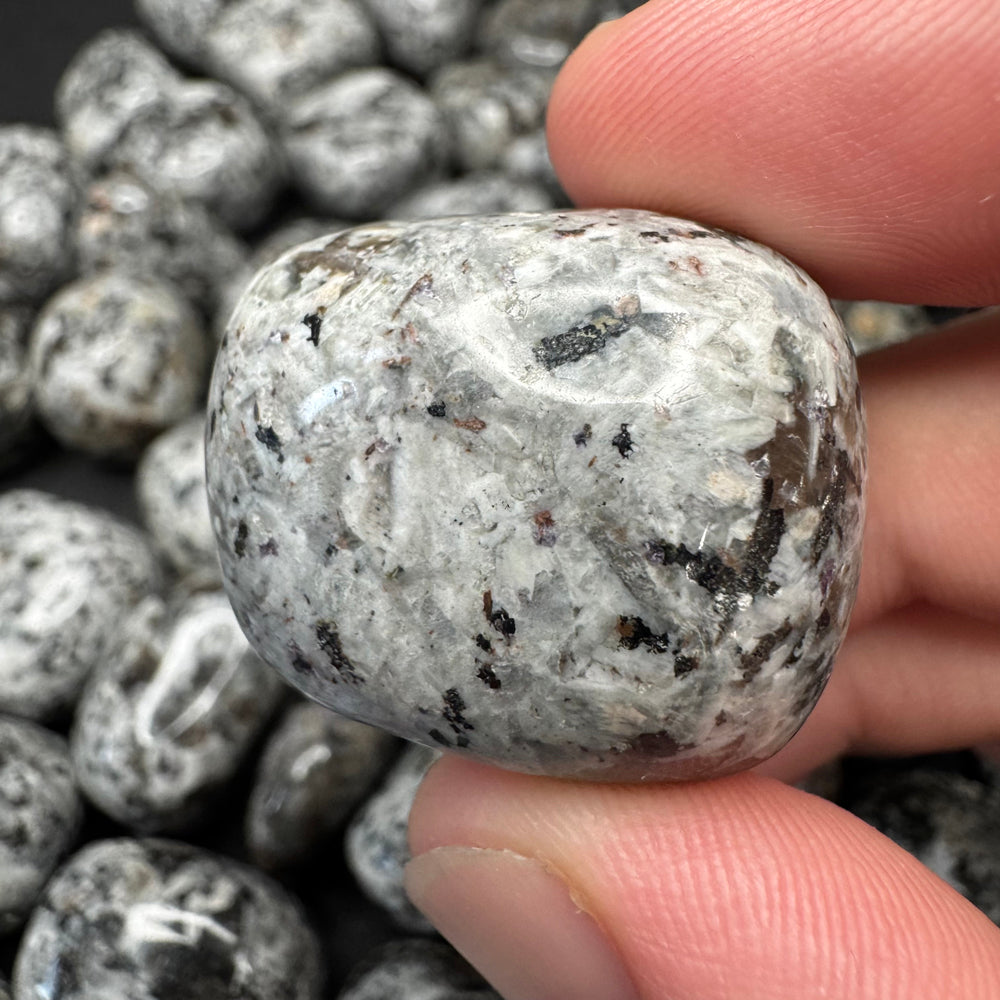 Yooperlite tumbled stone