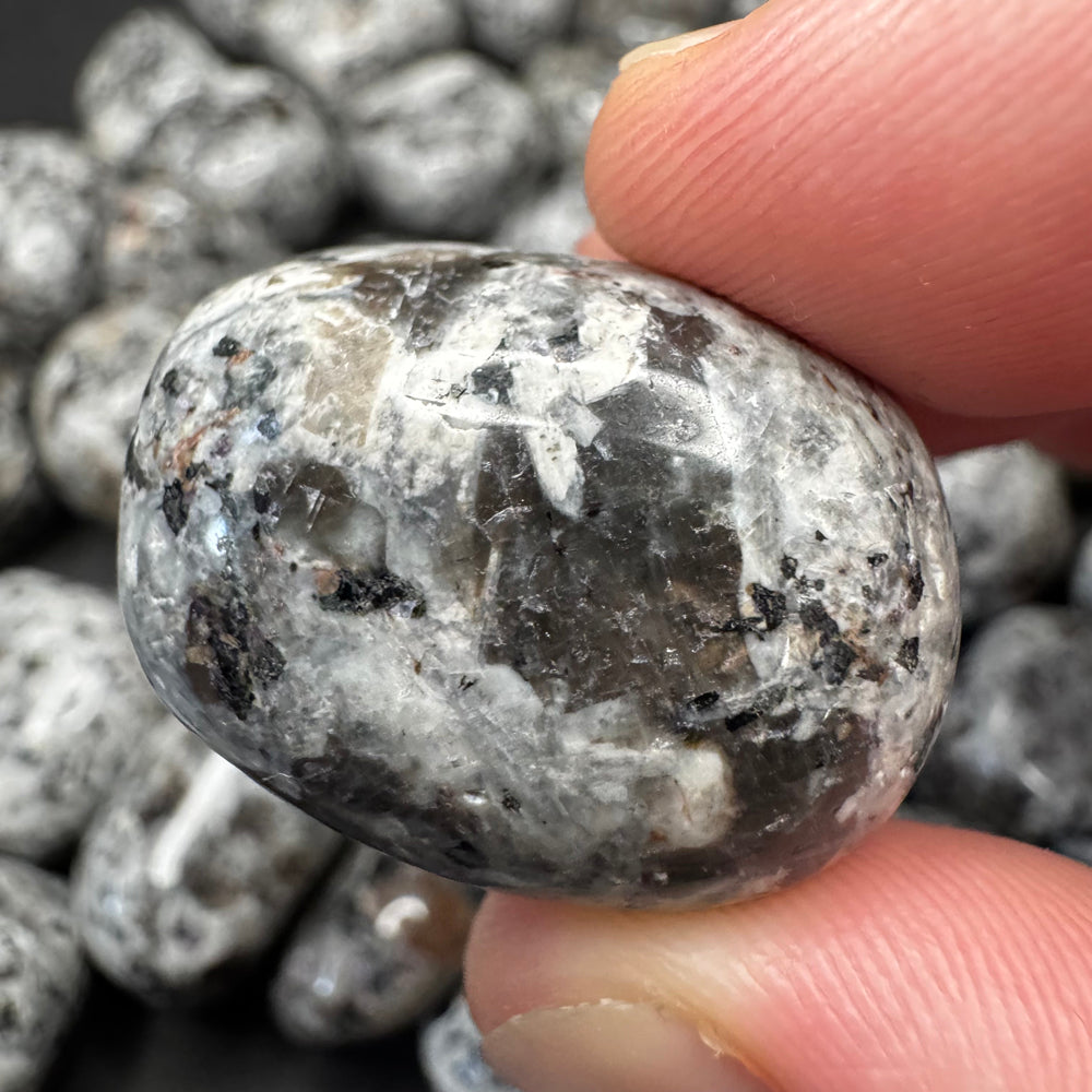 Yooperlite tumbled stone