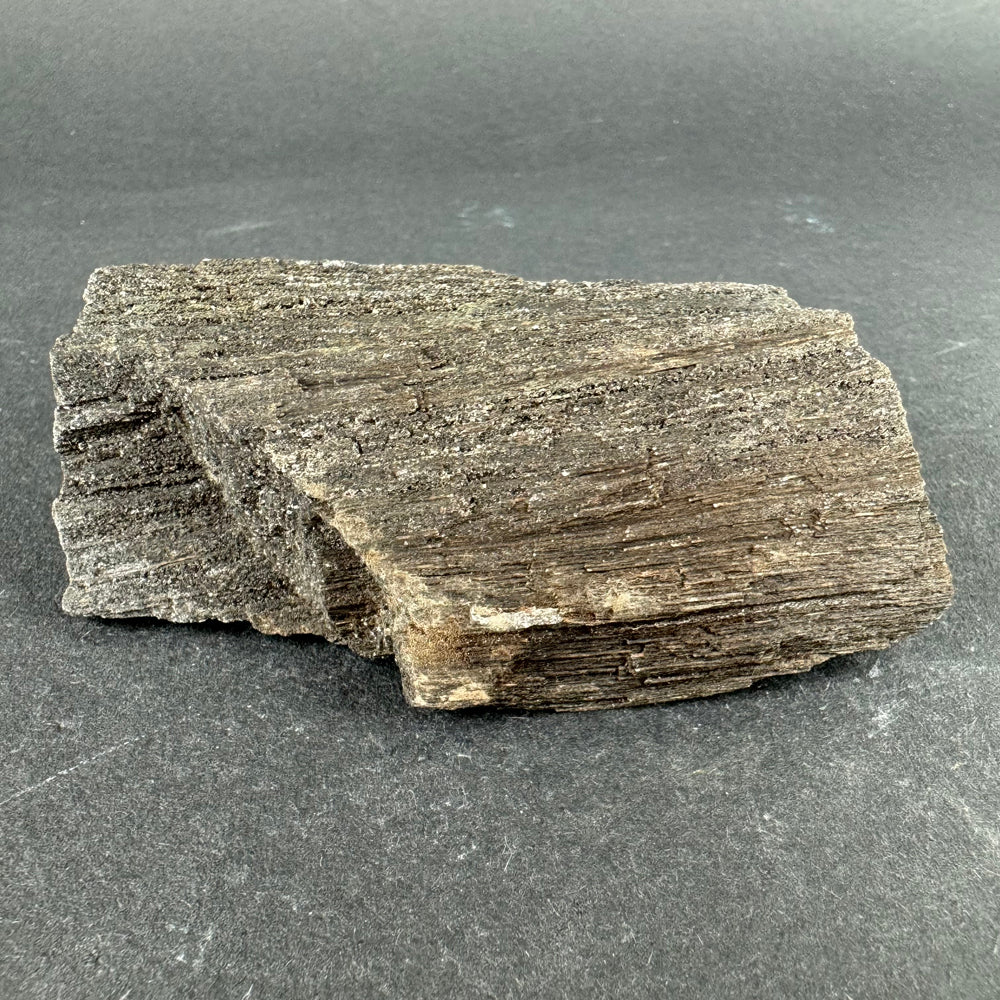 Permineralized Wood