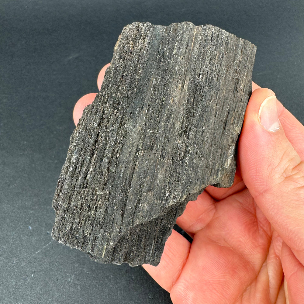 Permineralized Wood