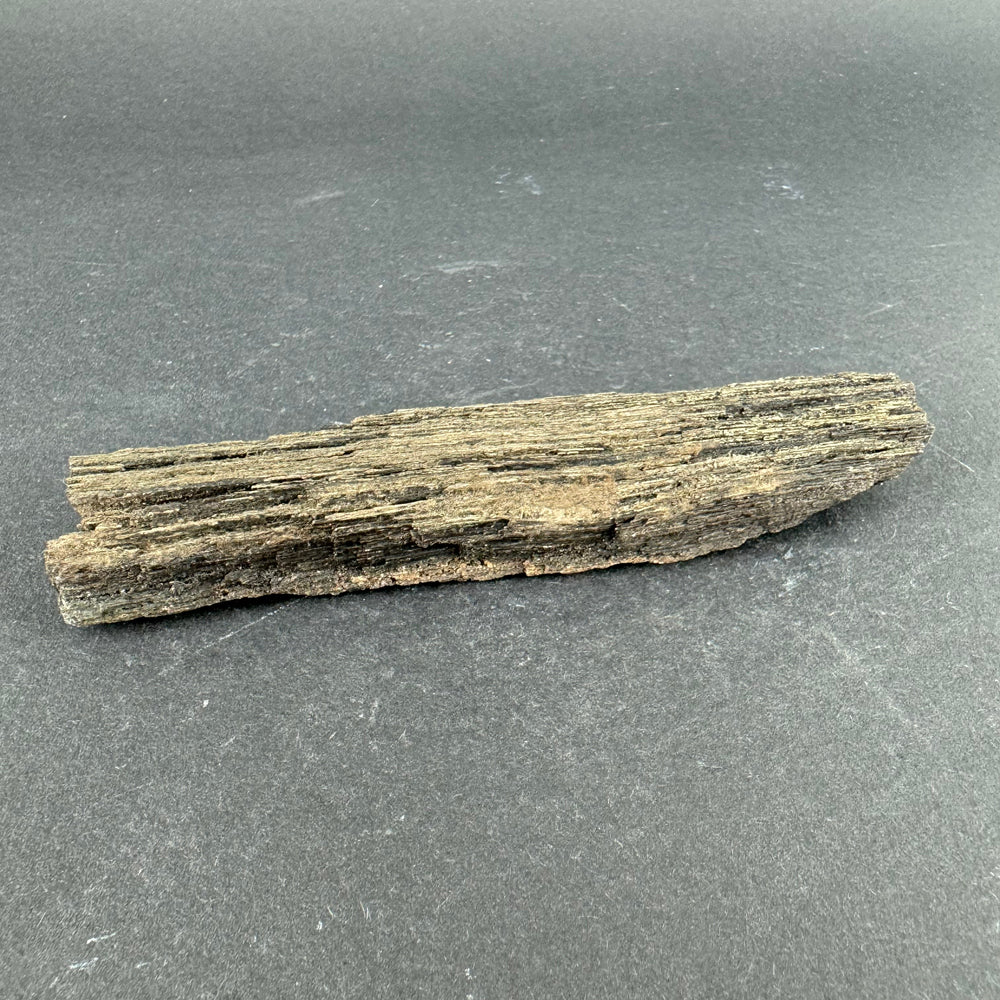 Permineralized Wood