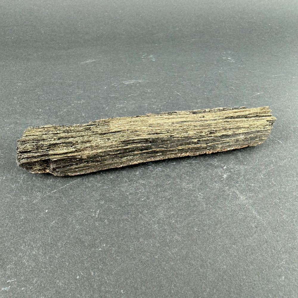 Permineralized Wood