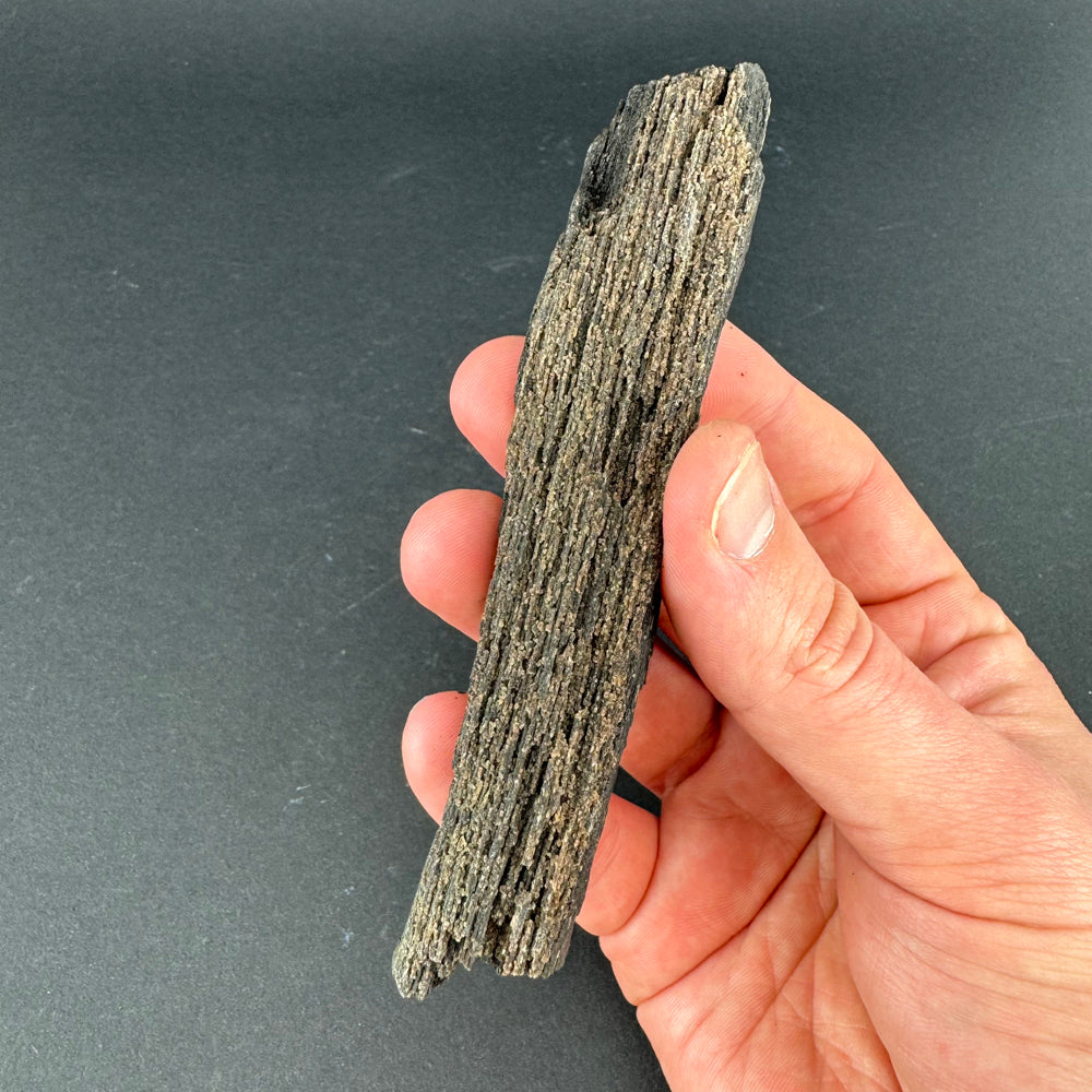 Permineralized Wood