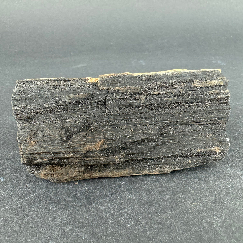 Permineralized Wood
