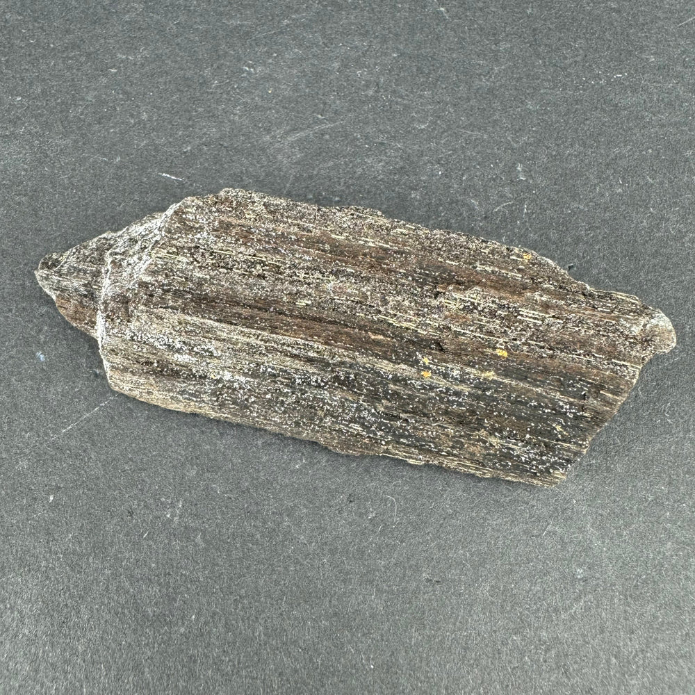 Permineralized Wood