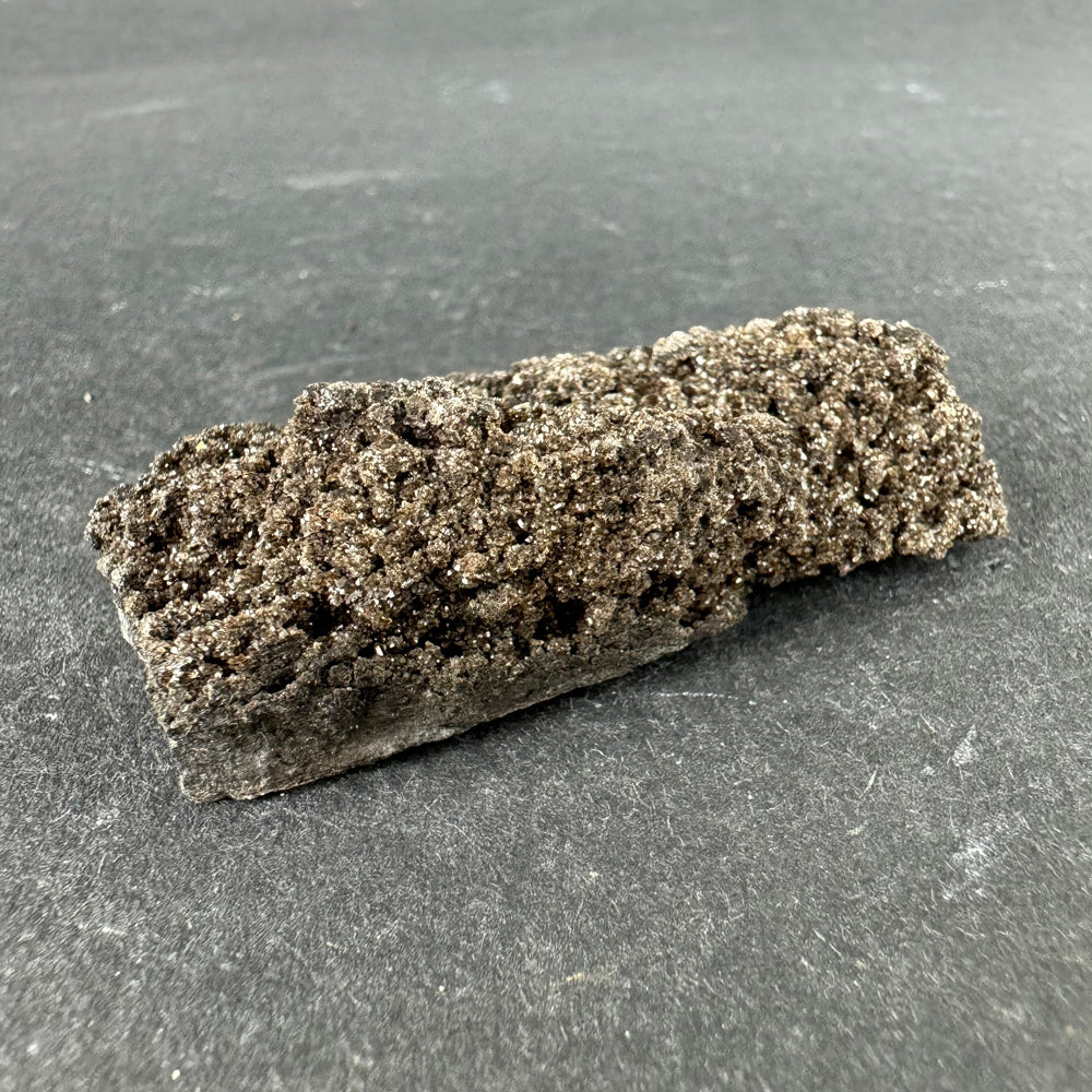 Permineralized Wood