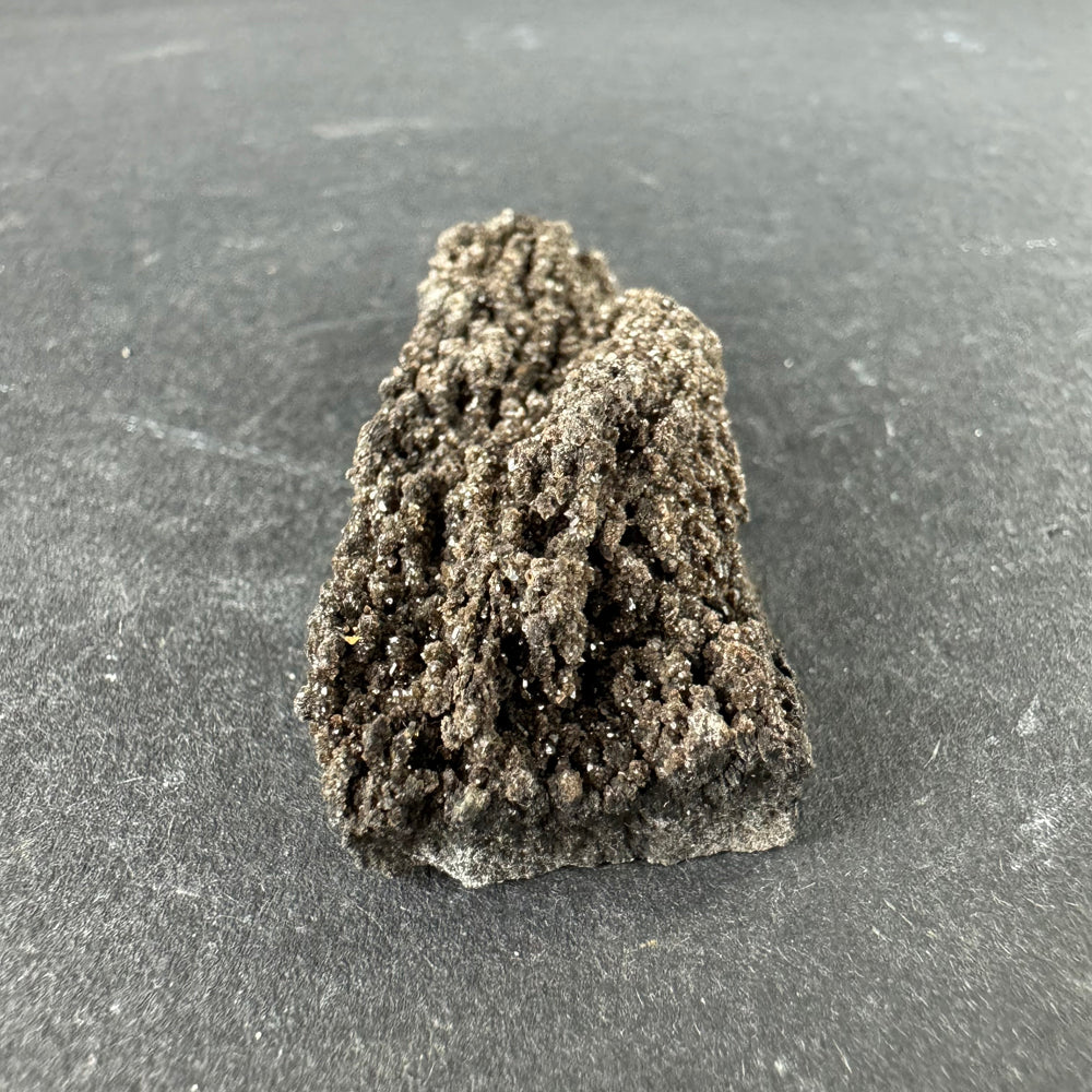 Permineralized Wood