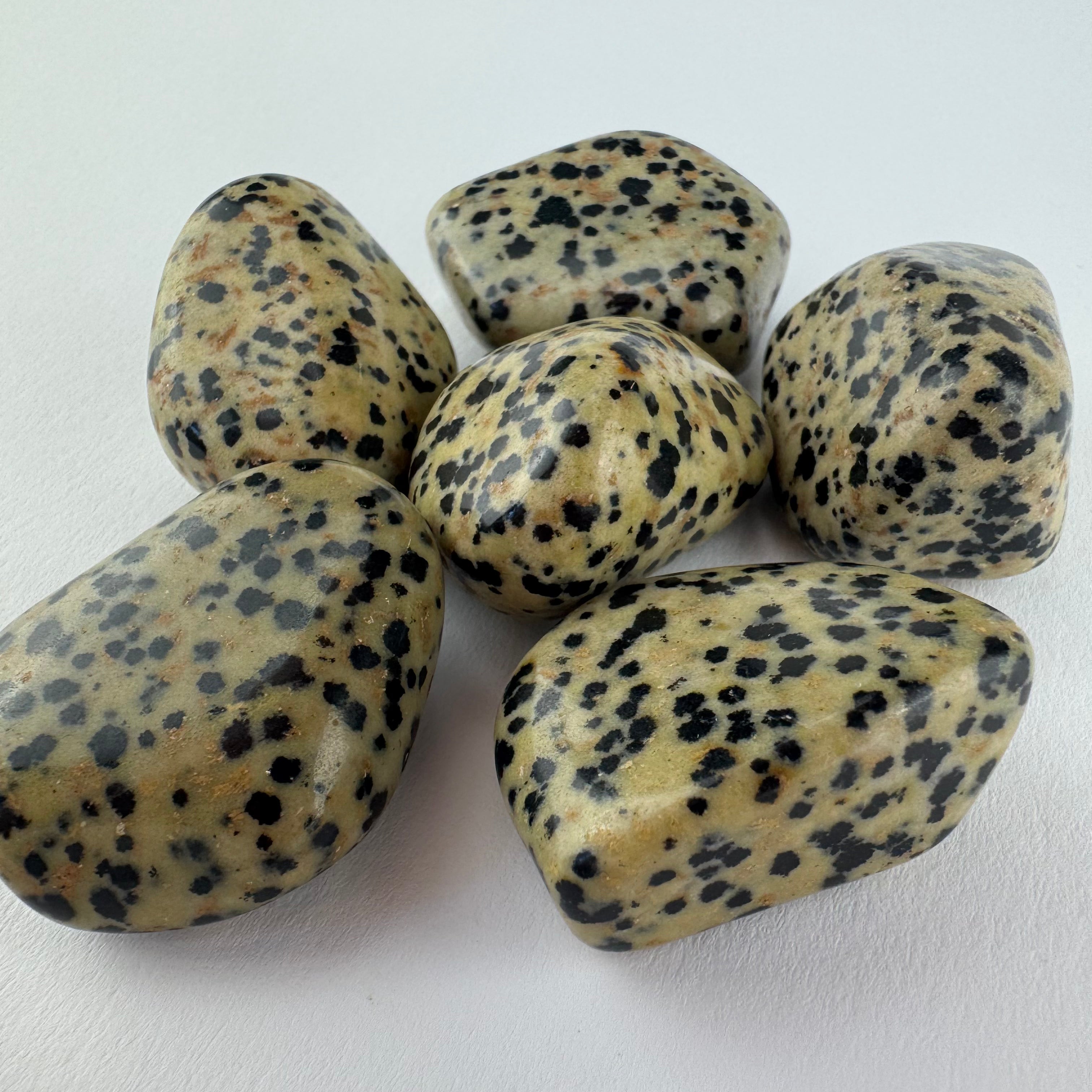 Dalmatiër Jaspis trommelsteen