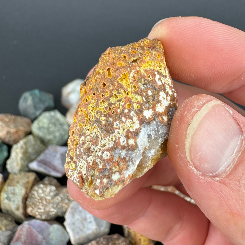 Ocean Jasper