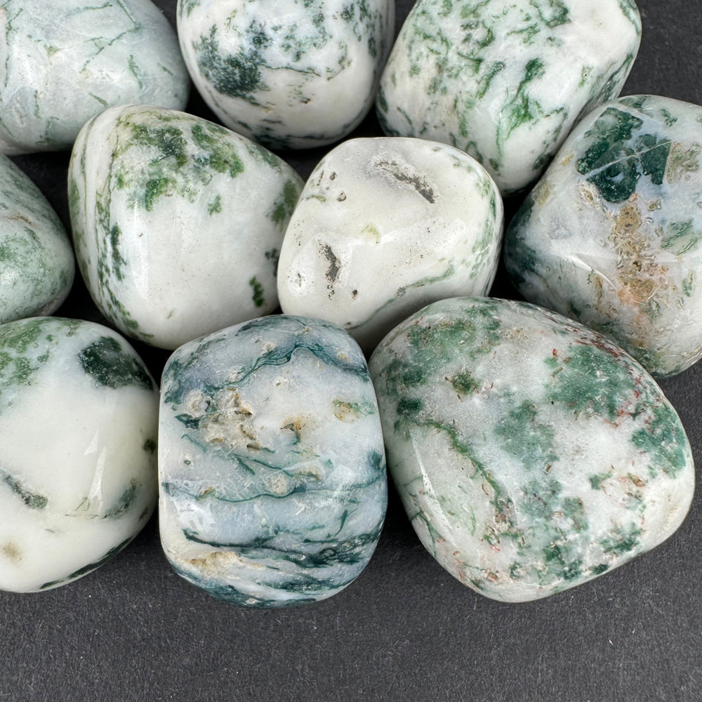 Tree Agate tumbled stone