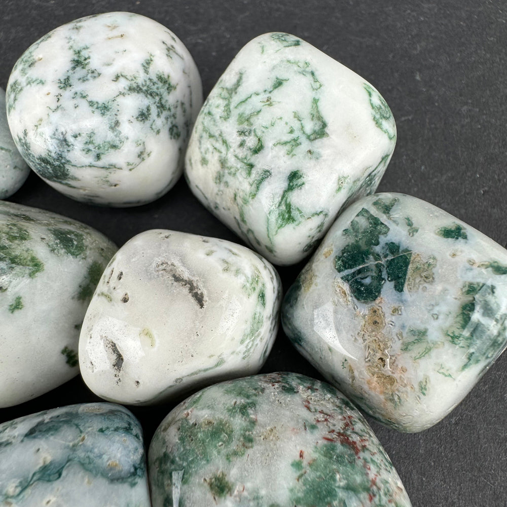 Tree Agate tumbled stone