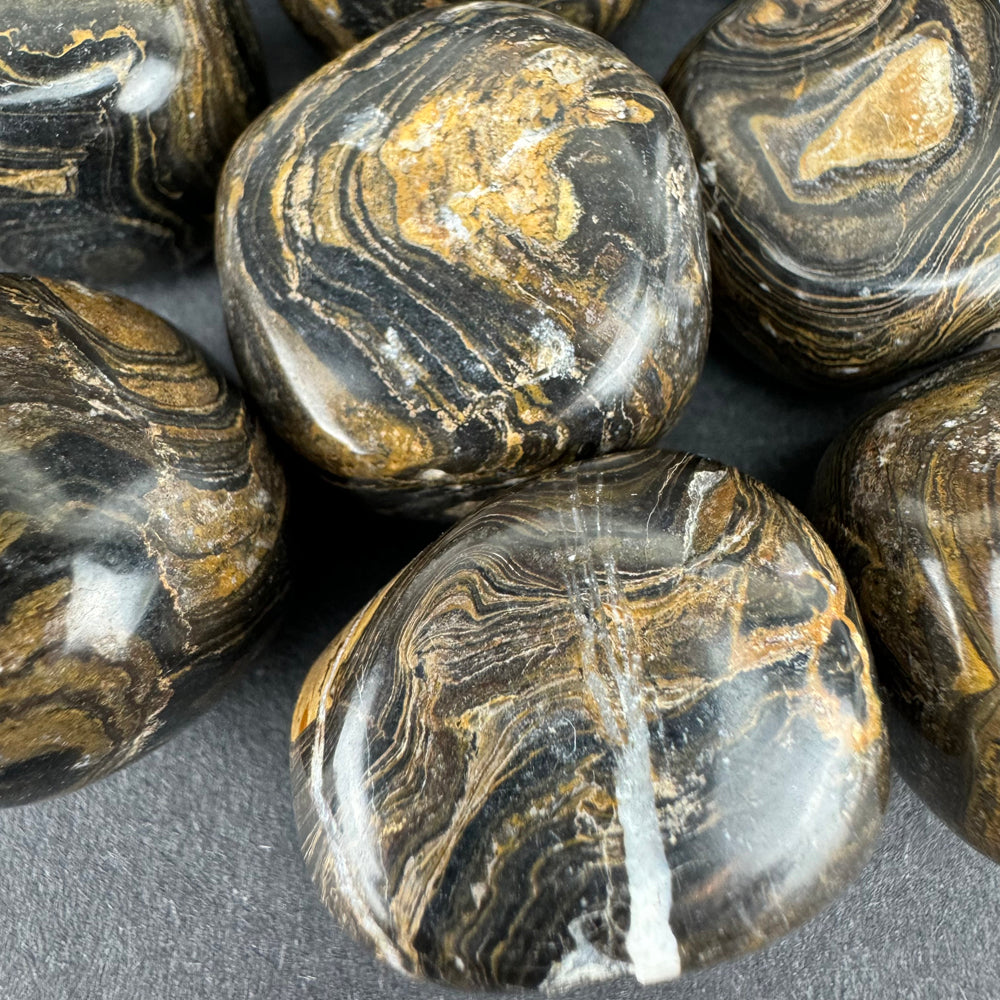 Stromatolite tumbled stone