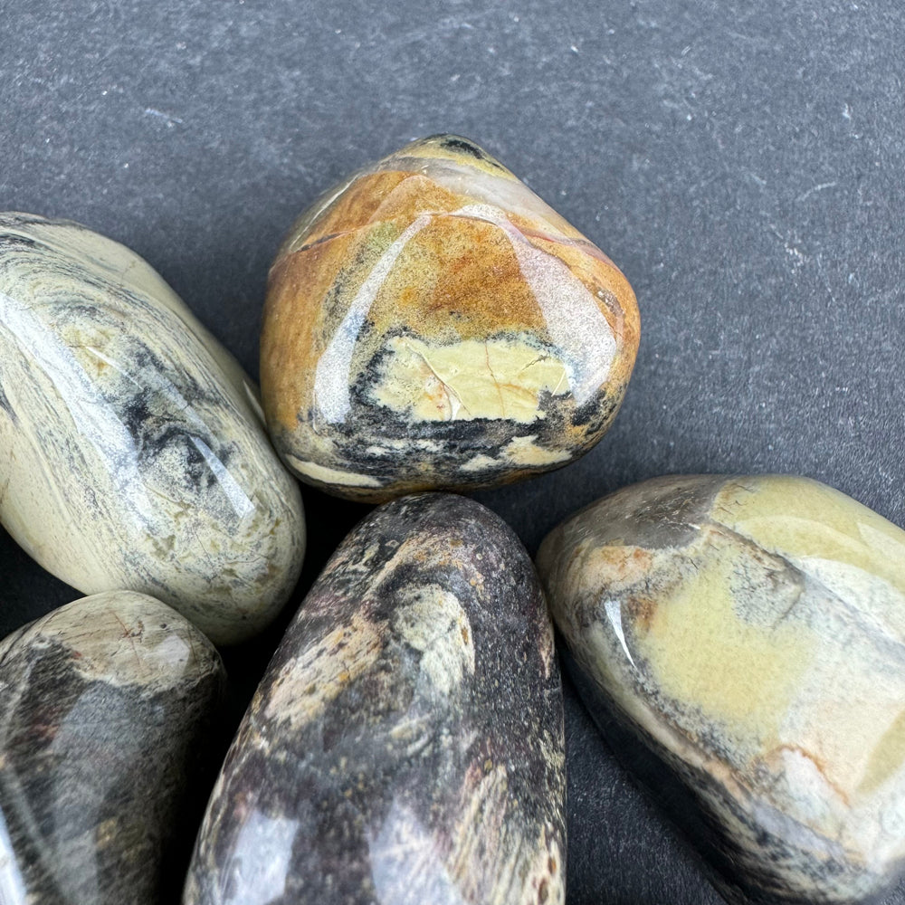 Silver Leaf Jasper tumbled stone