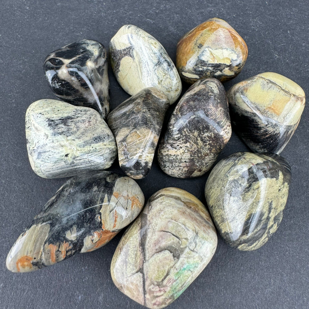 Silver Leaf Jasper tumbled stone