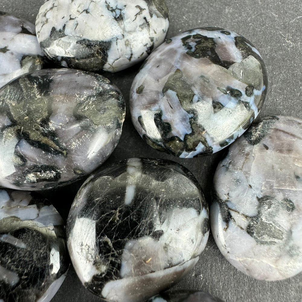 Mystic Merliniet (Indigo Gabbro) trommelsteen