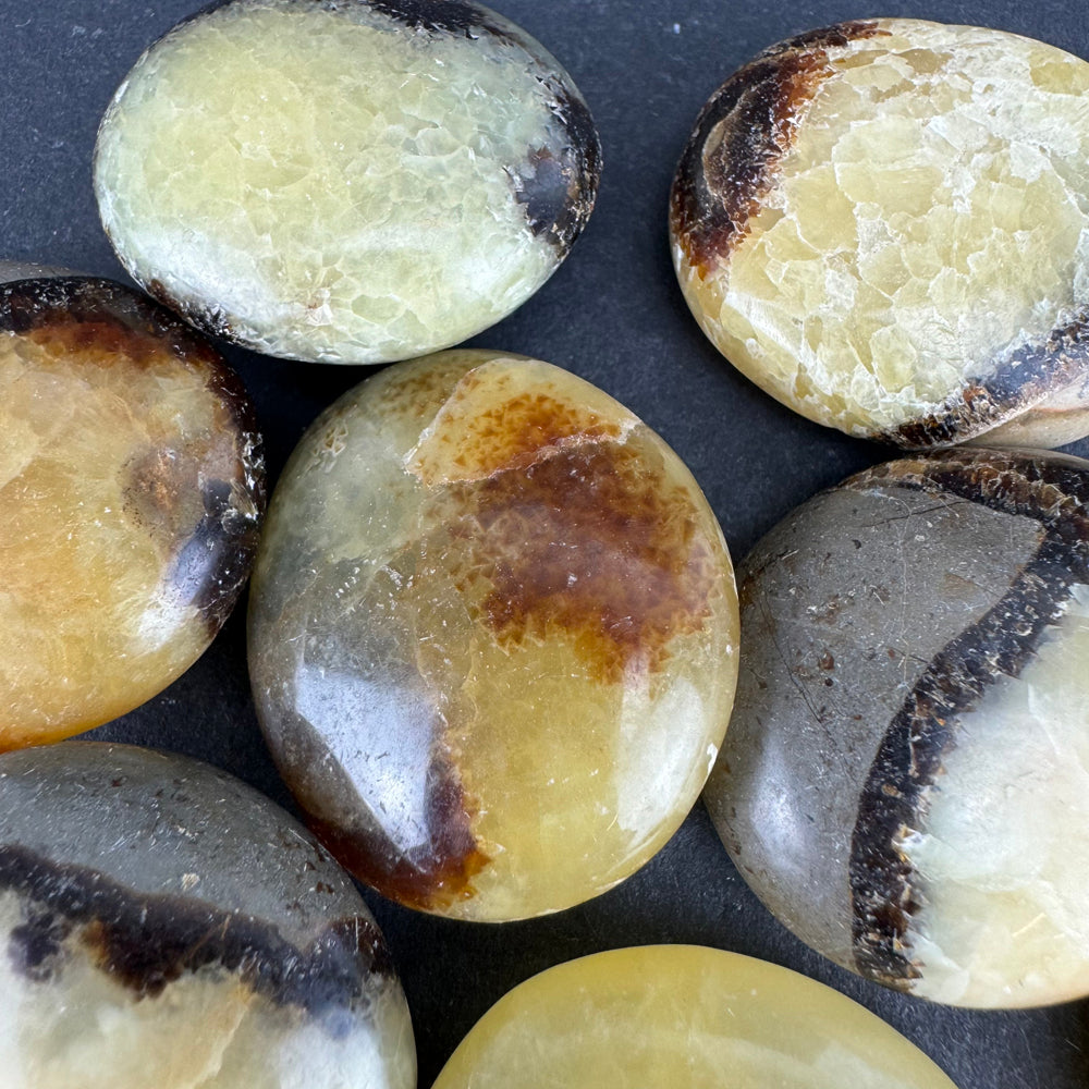 Septarian tumbled stone