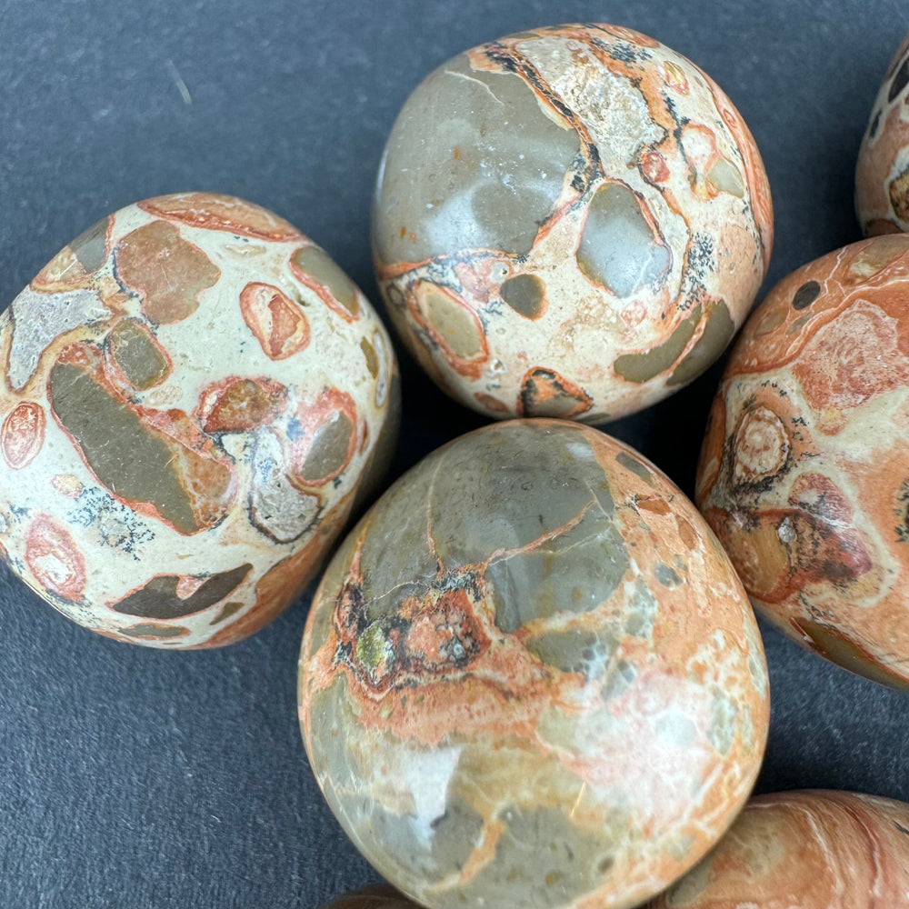 Leopardite Jasper tumbled stone
