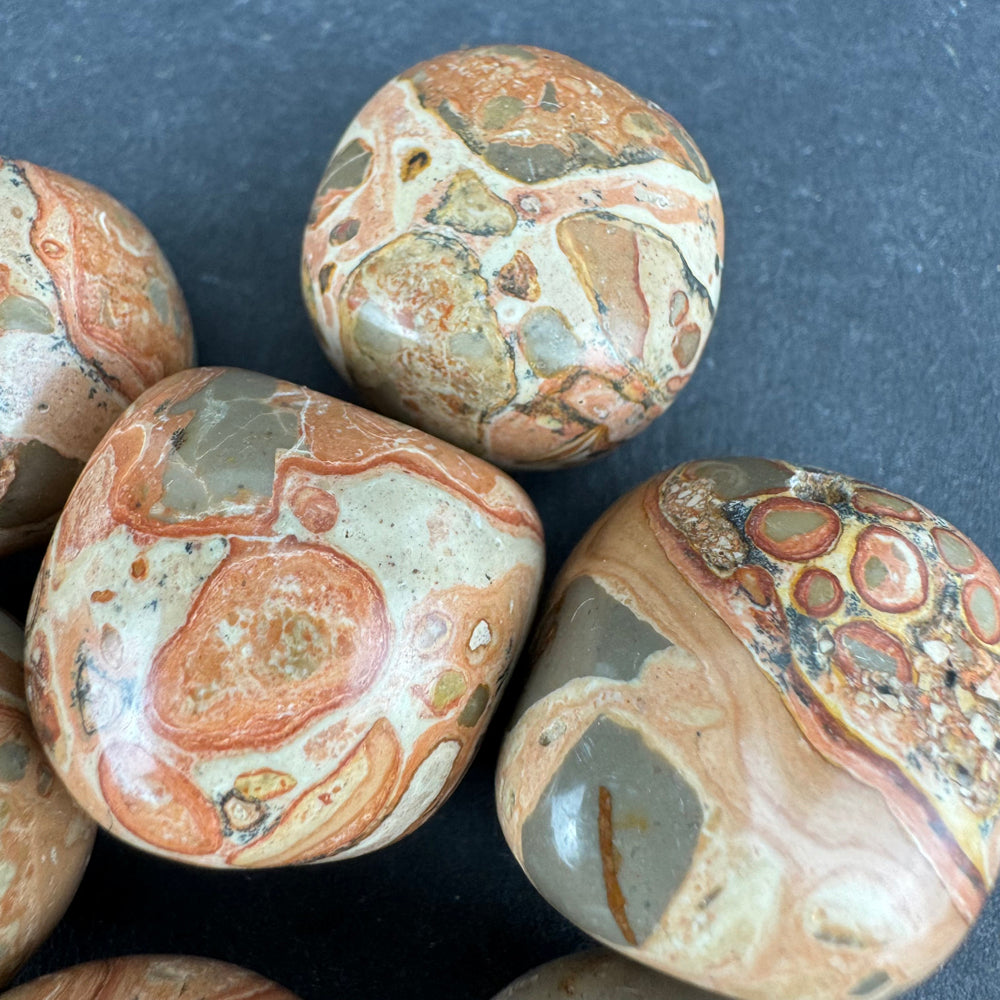 Leopardite Jasper tumbled stone