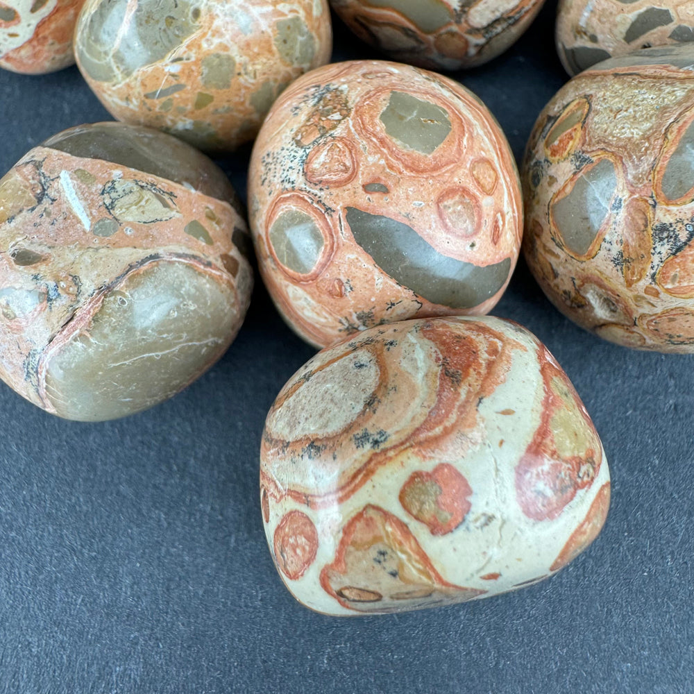 Leopardite Jasper tumbled stone