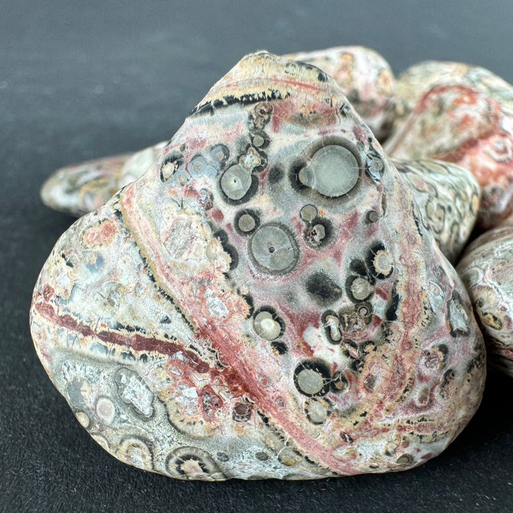 Leopard Skin Jasper tumbled stone