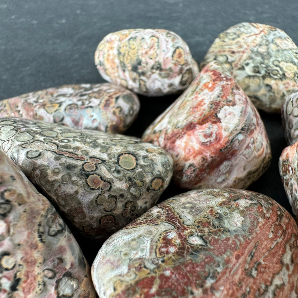 Leopard Skin Jasper tumbled stone