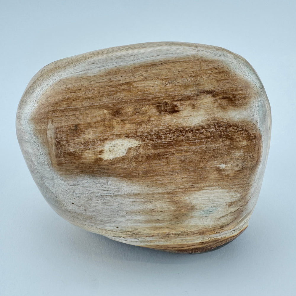 Versteend Hout
