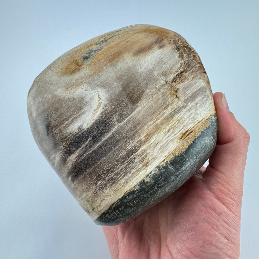 Versteend Hout