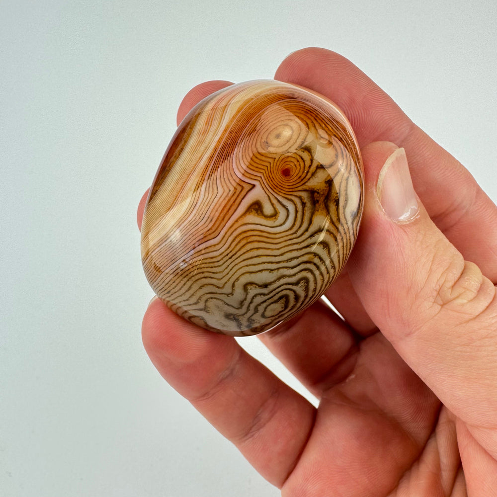 Sardonyx jumbo steen