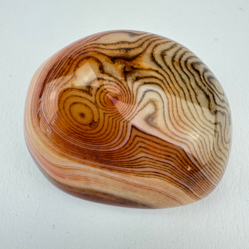 Sardonyx jumbo steen
