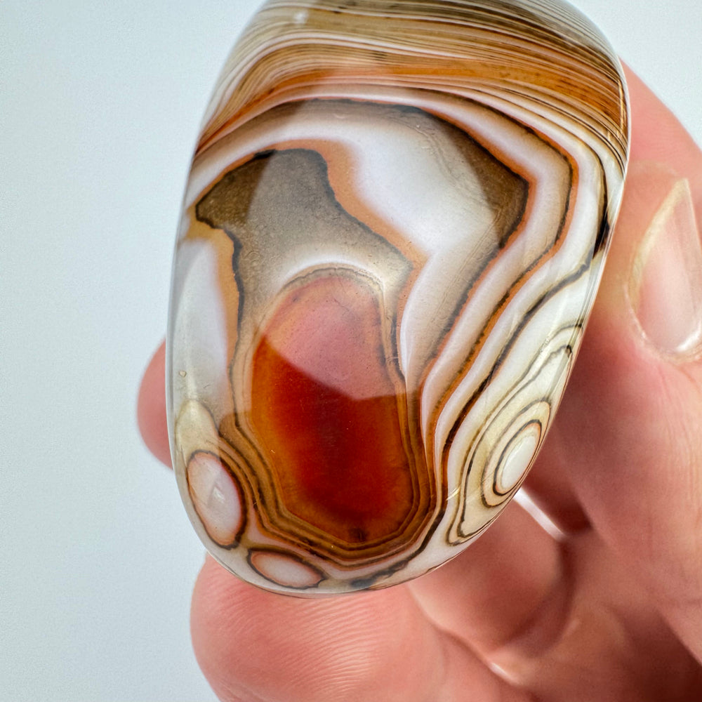 Sardonyx jumbo steen