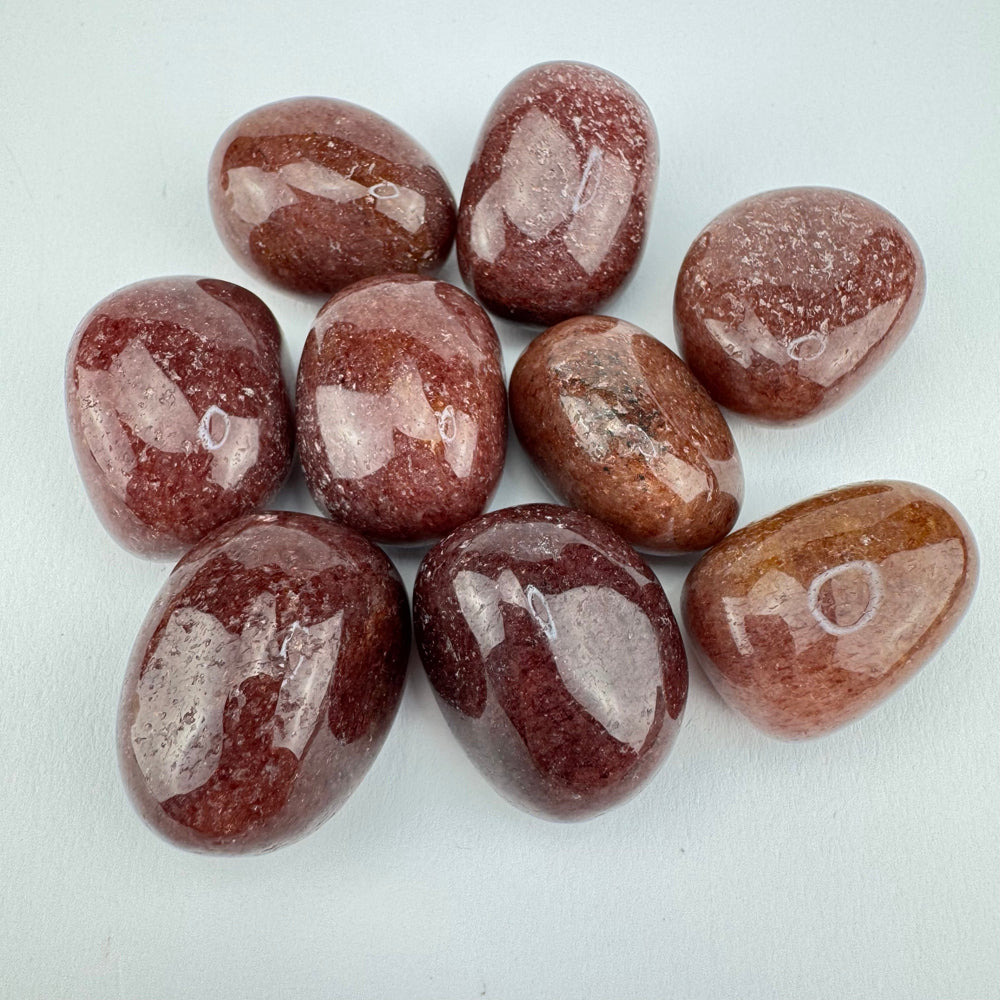 Muscoviet trommelsteen