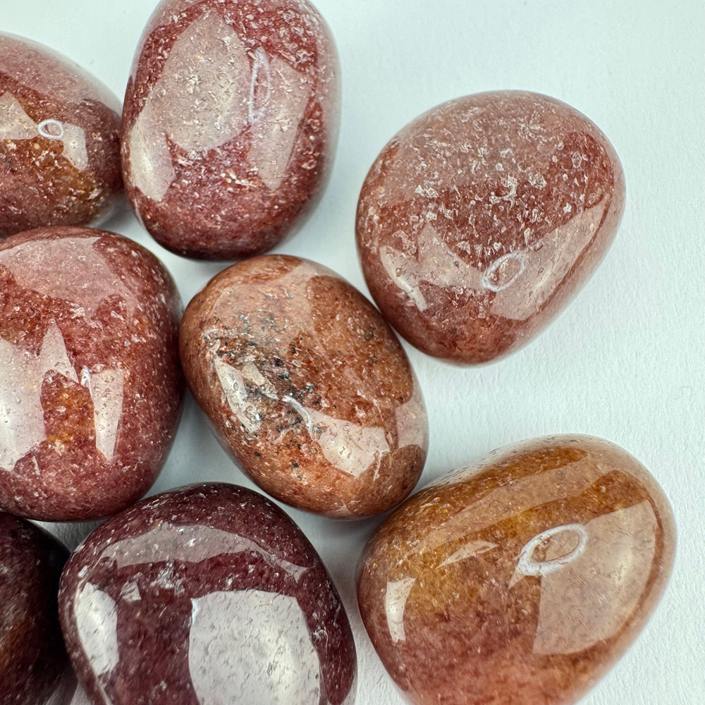 Muscoviet trommelsteen