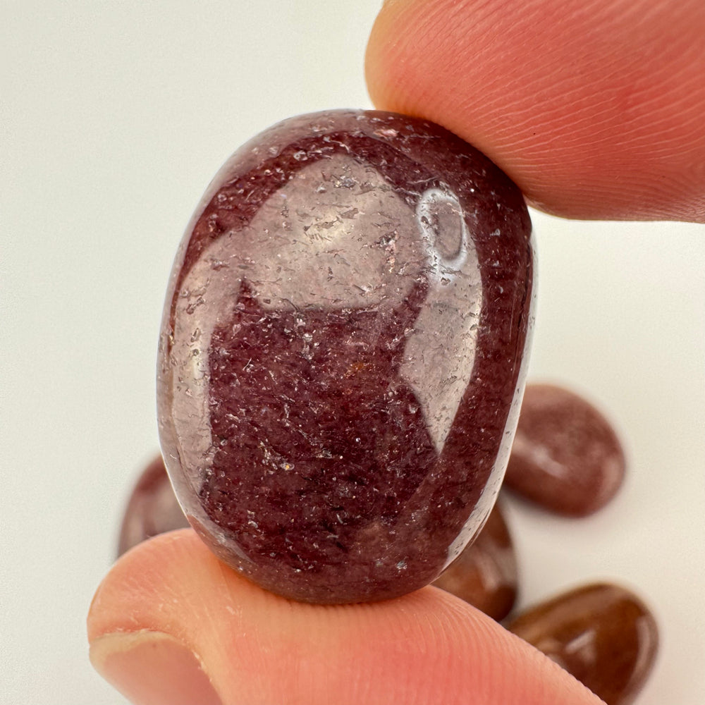 Muscoviet trommelsteen