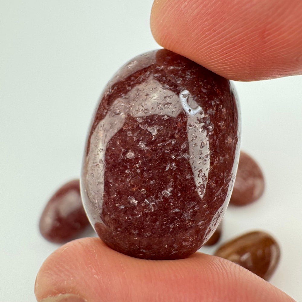 Muscoviet trommelsteen