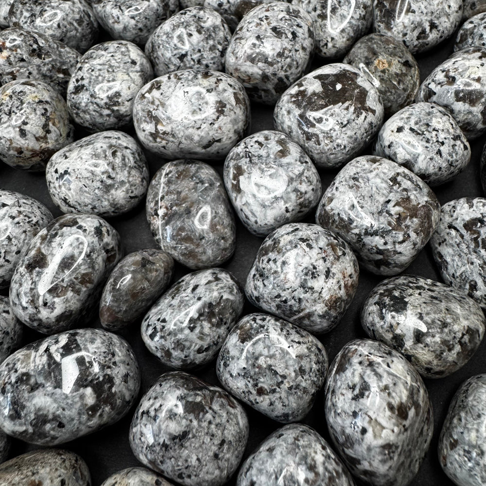 Yooperlite tumbled stone