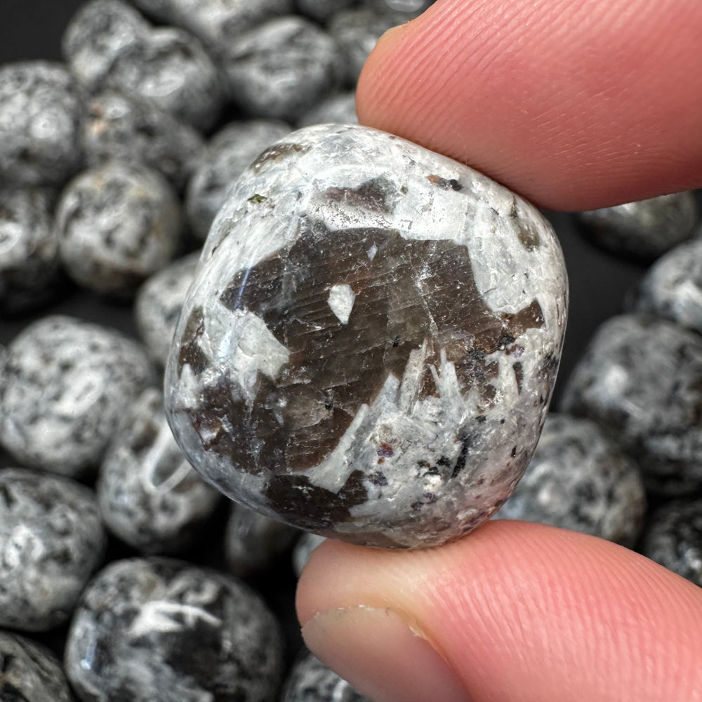 Yooperlite tumbled stone