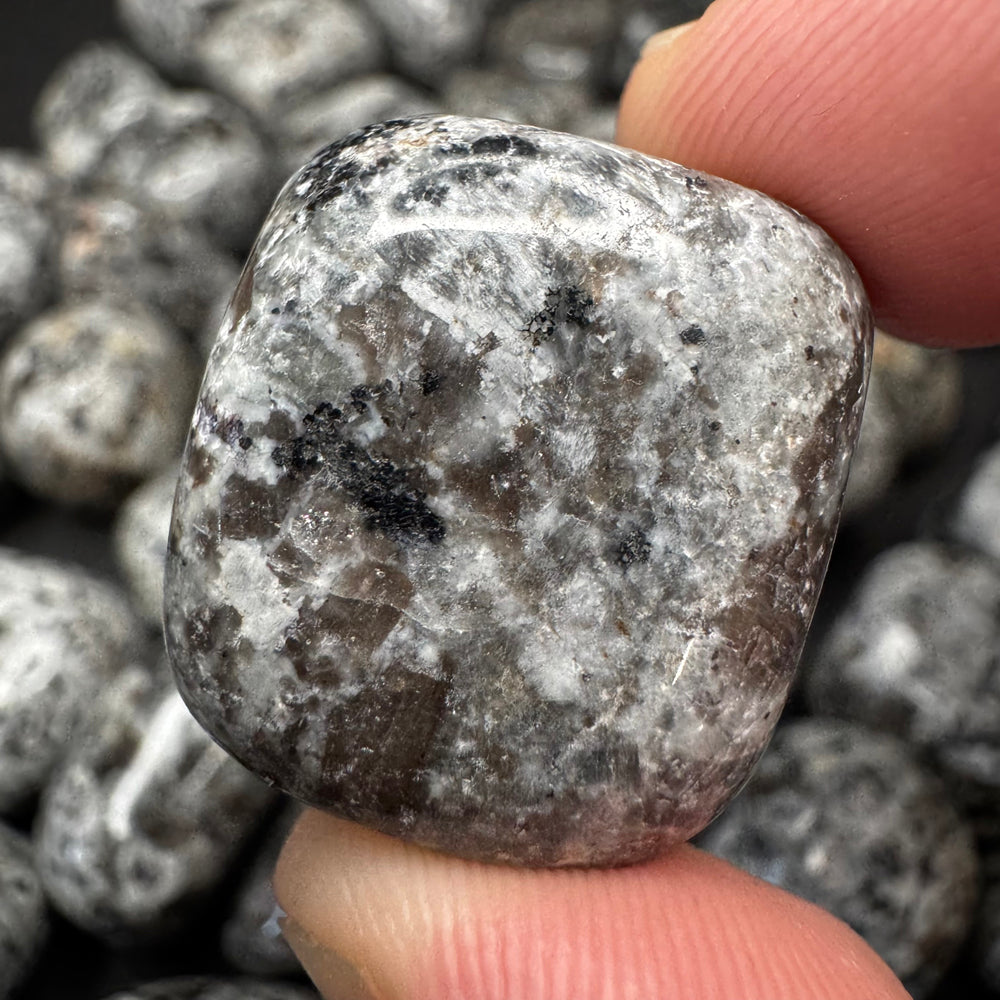 Yooperlite tumbled stone