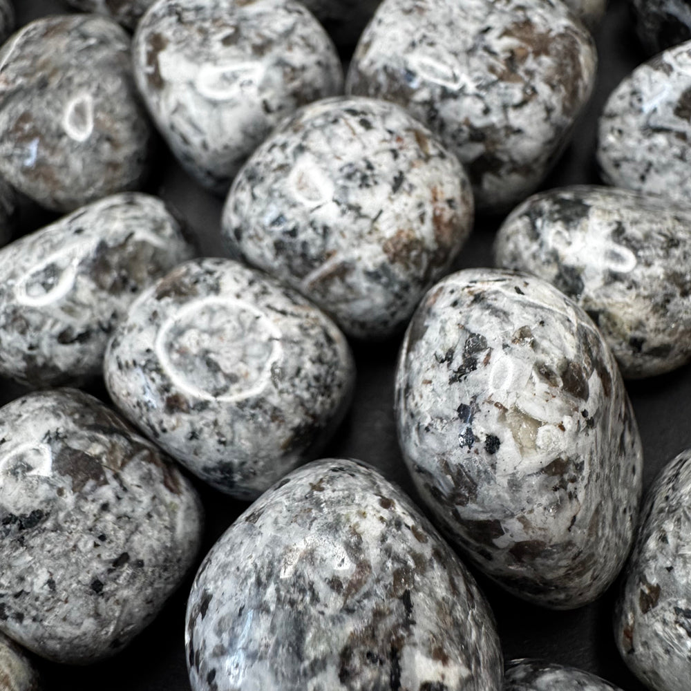 Yooperlite tumbled stone