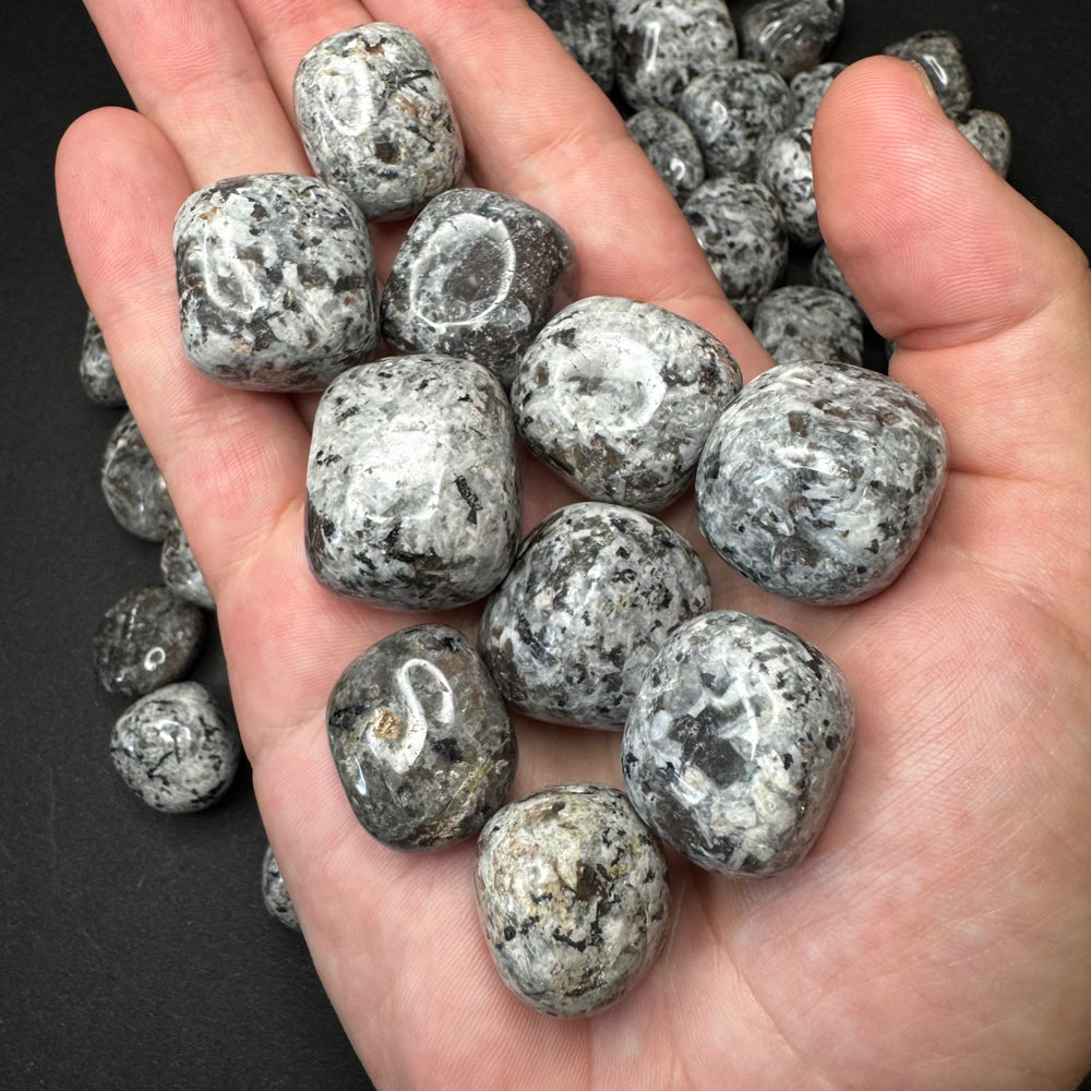 Yooperlite tumbled stone