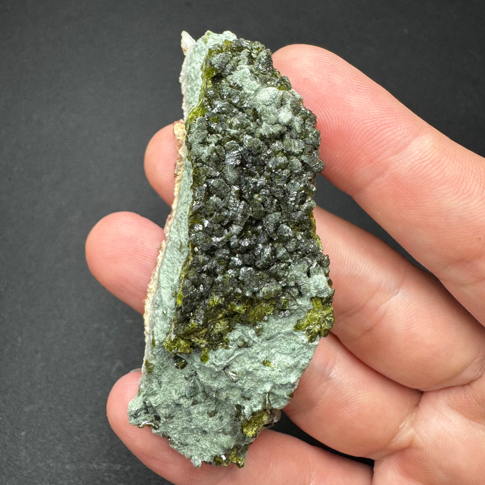 Epidote in Quartz