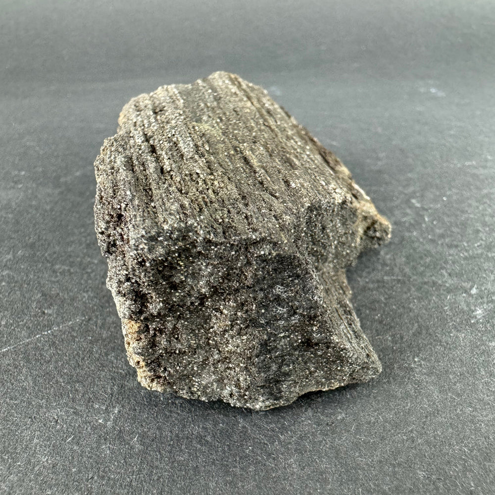 Permineralized Wood