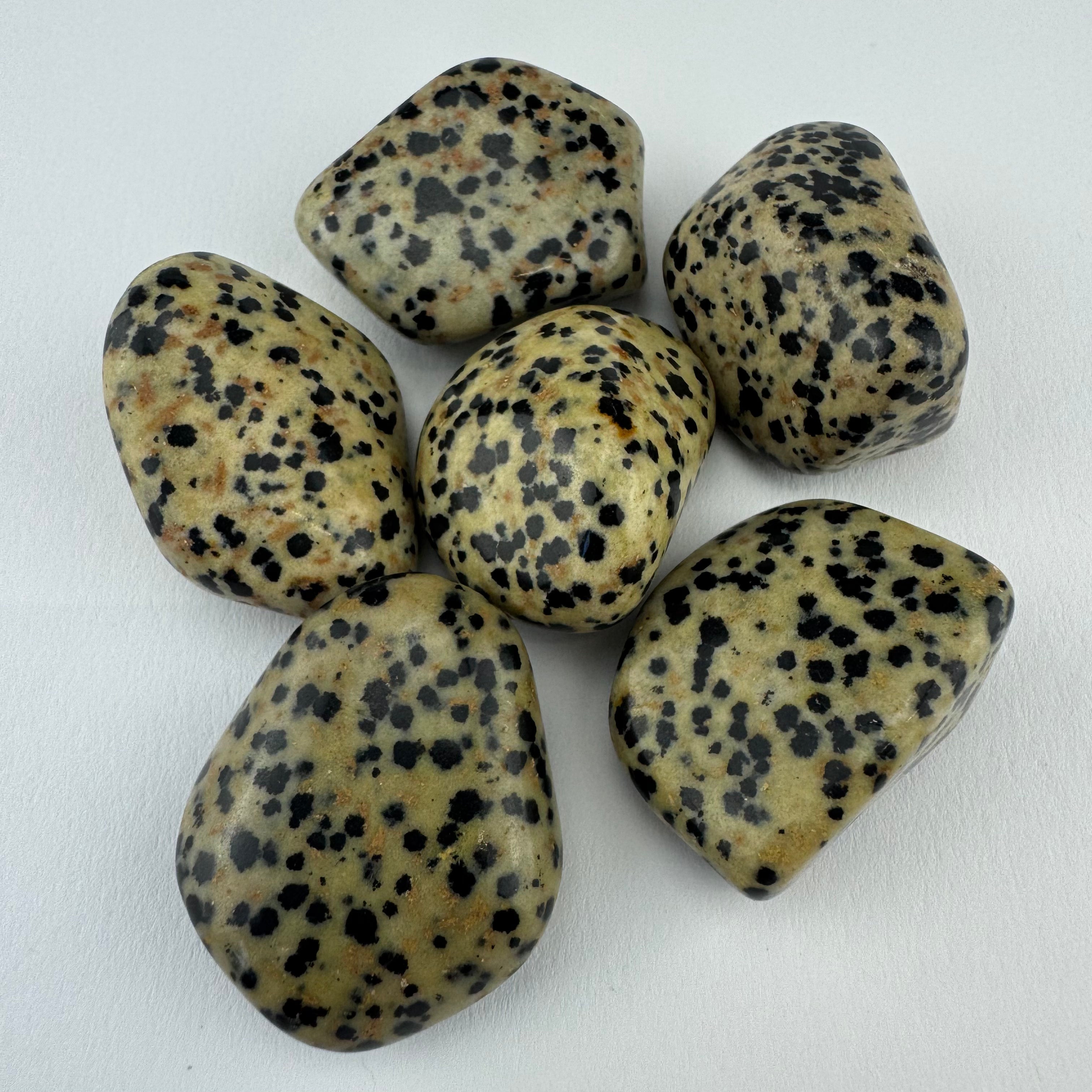 Dalmatiër Jaspis trommelsteen