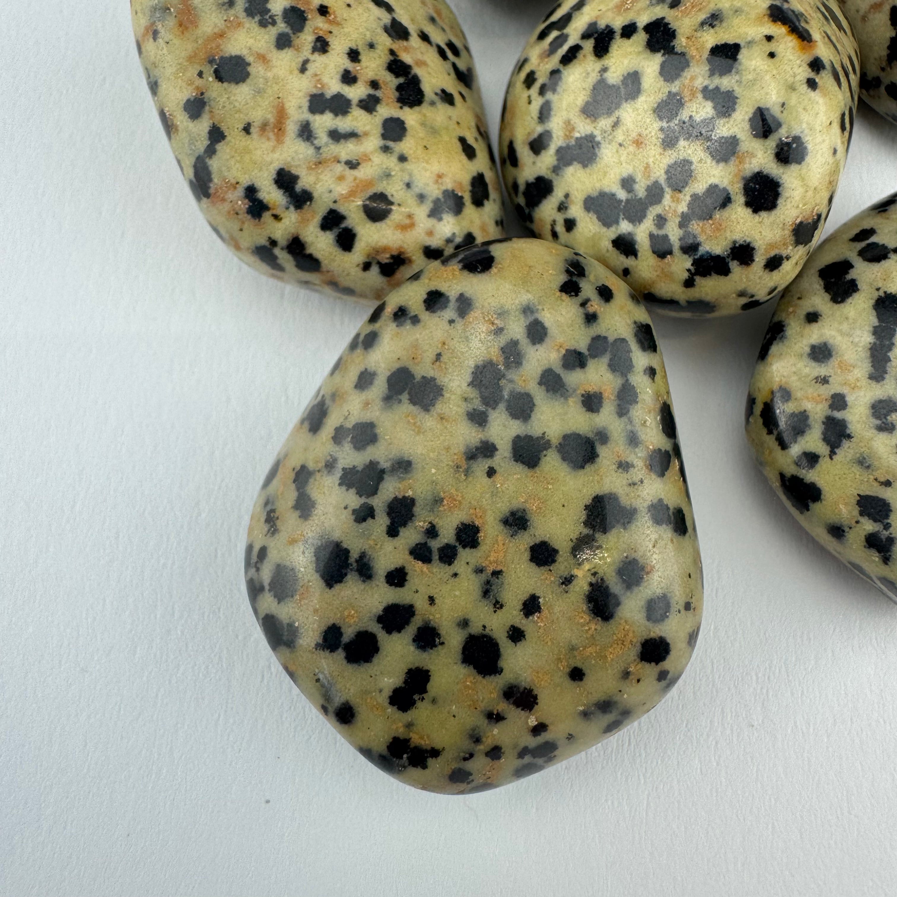 Dalmatiër Jaspis trommelsteen