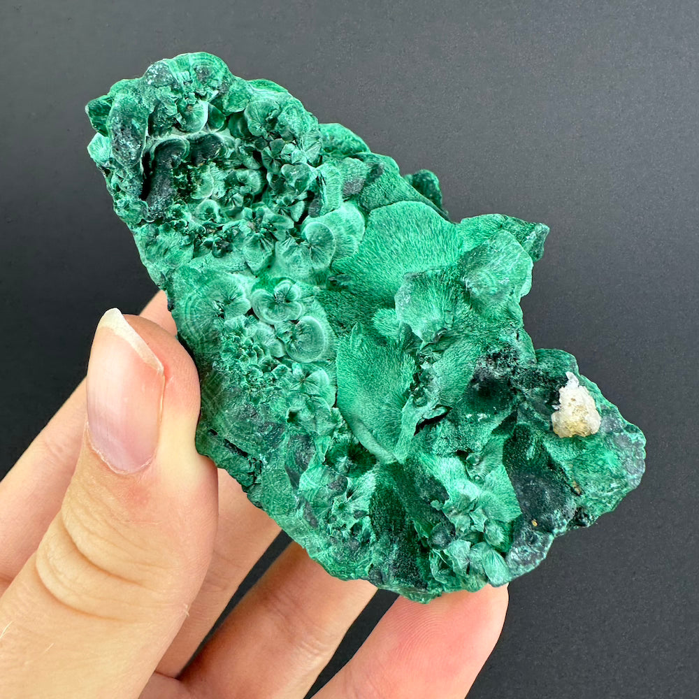 Malachite (Velvet)