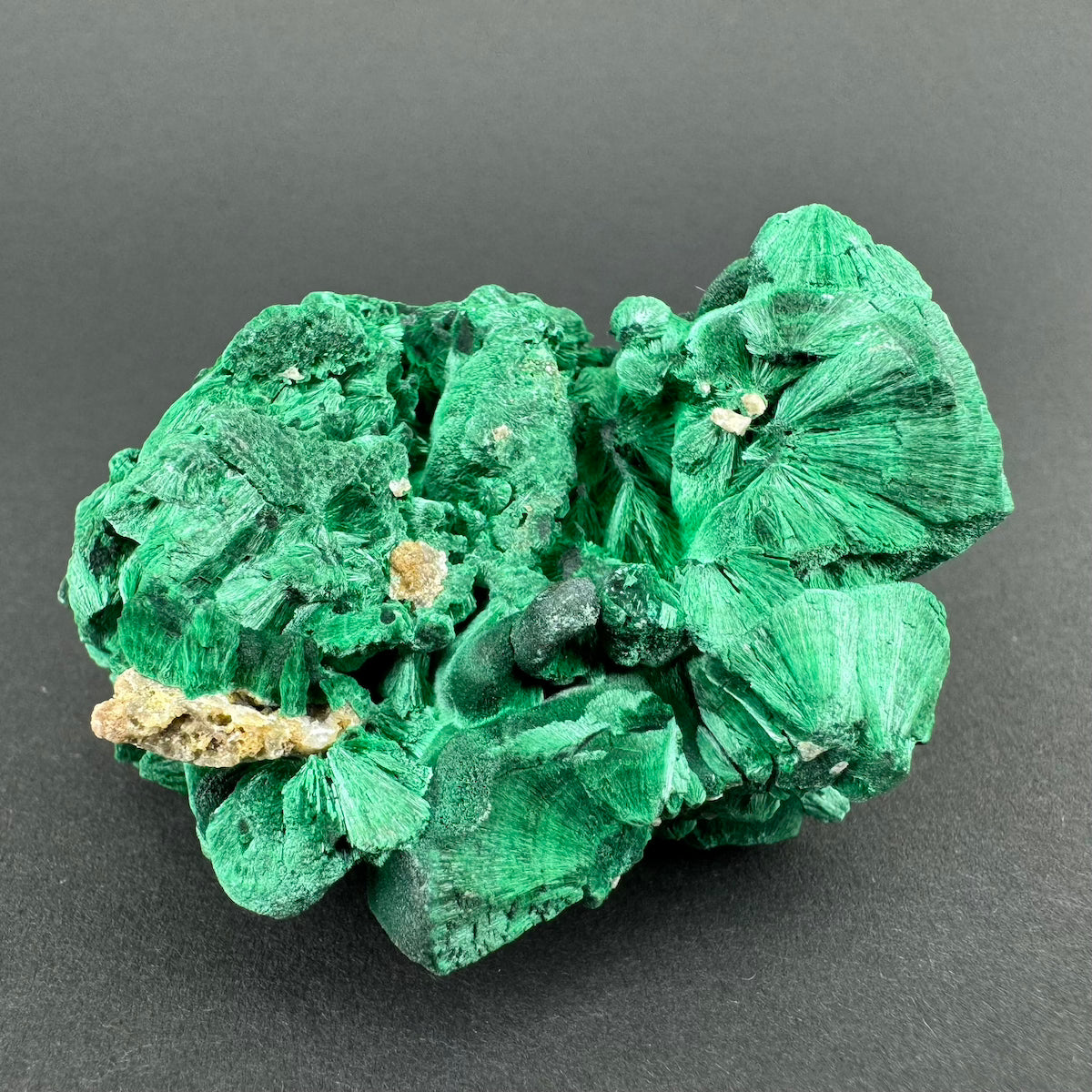 Malachite (Velvet)