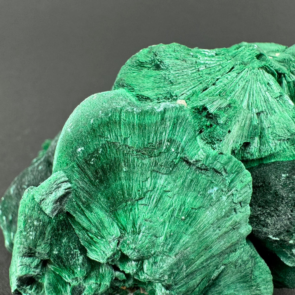 Malachite (Velvet)