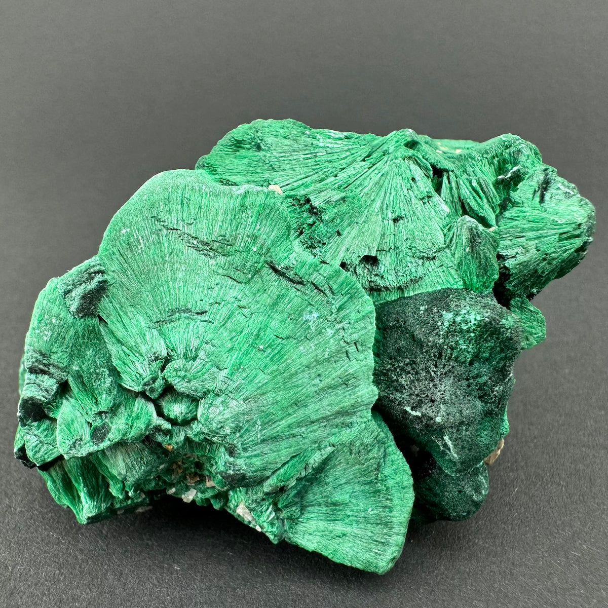 Malachite (Velvet)