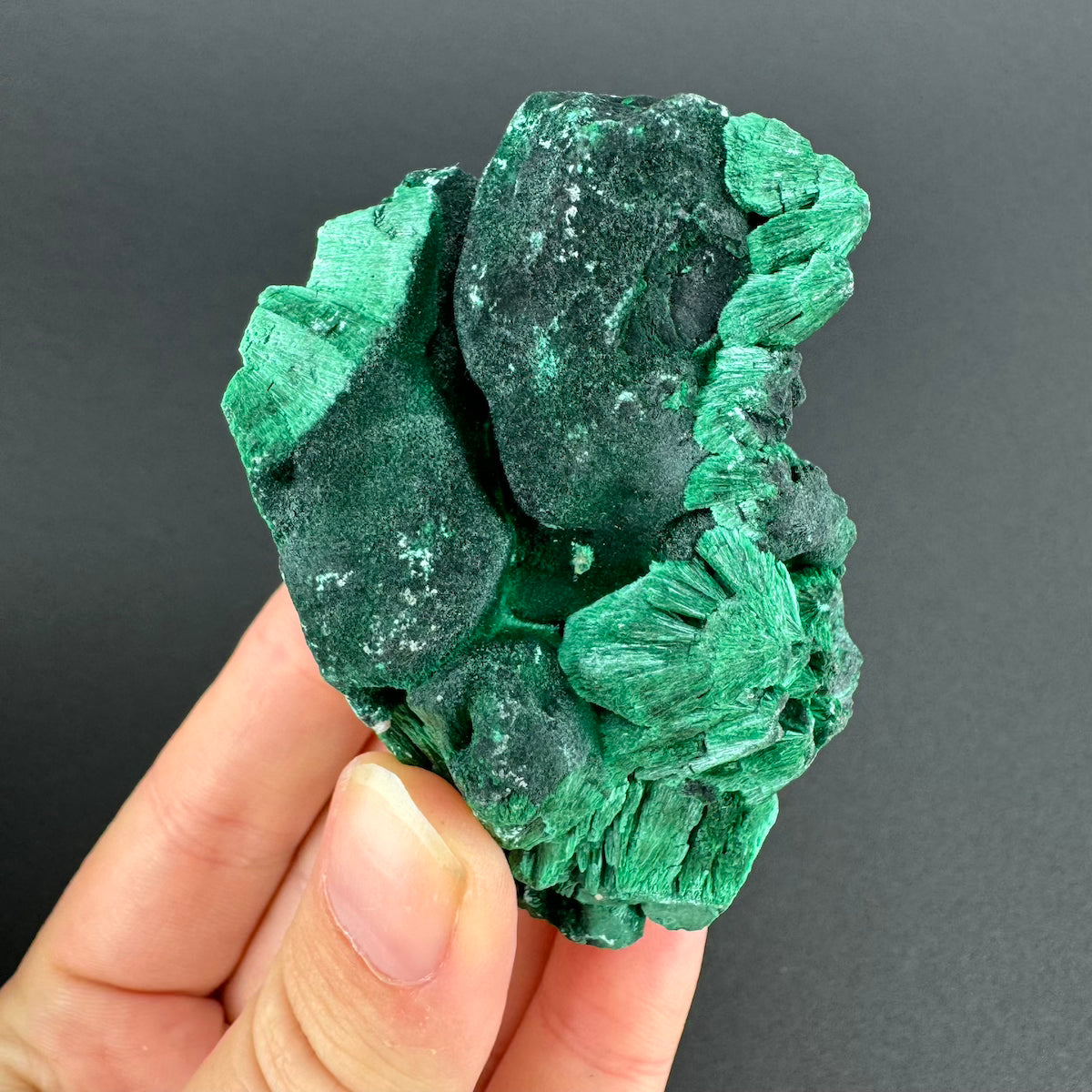 Malachite (Velvet)