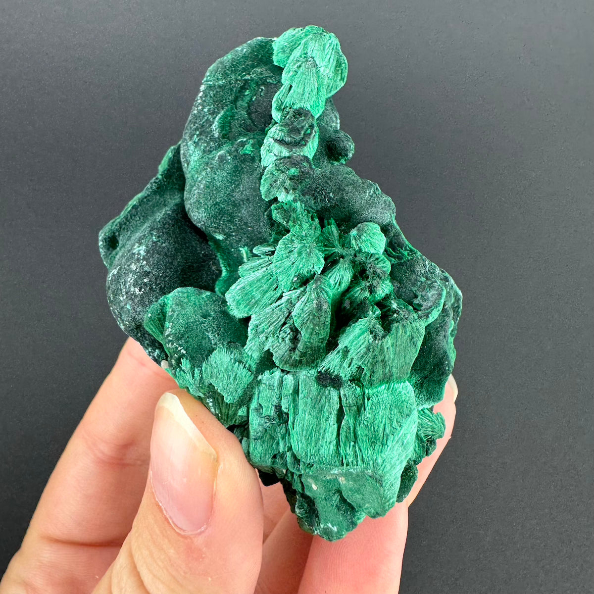 Malachite (Velvet)